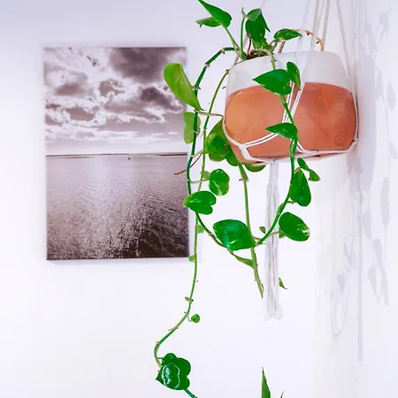 Mar-ria 3 Appartamento *